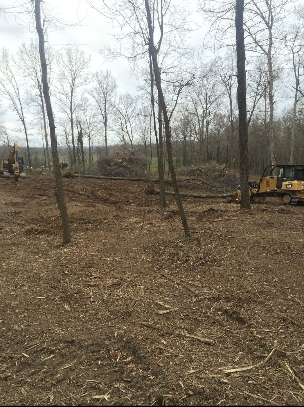 Land clearing project